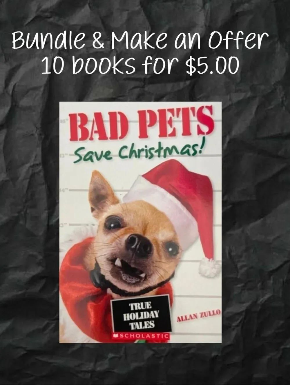 Scholastic Bad Pets Save Christmas Book Kids Youth Read Funny Entertaining
